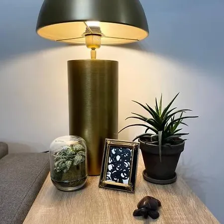 Charmant 45 M2, Hyper Centre Lejlighed *